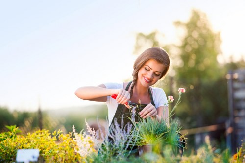 Reviewing complaints to improve landscaping service standards