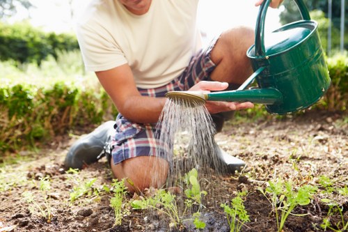 Hard landscaping and planting layout for an urban garden build