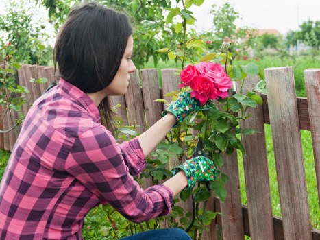 Low-maintenance garden design and planting for Whitechapel properties