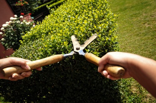 Reviewing health and safety measures for landscaping services