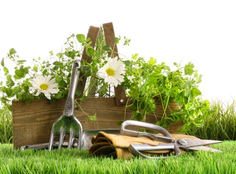 PCI-compliant payment methods for Landscaping Whitechapel services