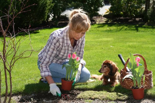 Reusable garden materials prepared for charity donation