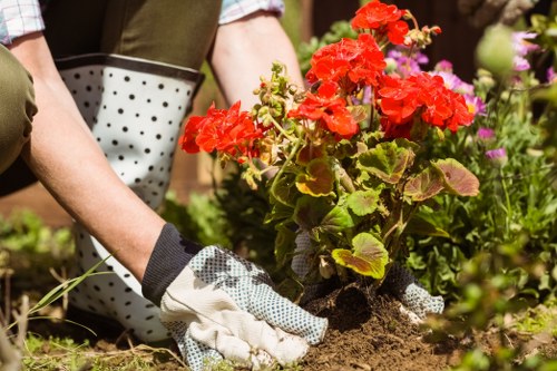 Safe and tidy landscaping site with protective equipment in use