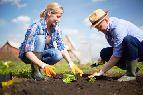 Screen-reader friendly landscaping page structure